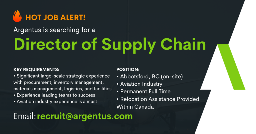 Director of Supply Chain – Aviation Industry